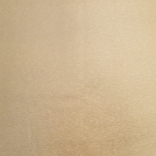 Pioneer - 18 by Europatex Fabric Pioneer 55% PVC, 40% Polyester, 5% Polyurethane China See Sample Horizontal: N/A and Vertical: N/A 55.00 inches  - Fabric Carolina -