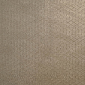 Pioneer 05 by Europatex Fabric