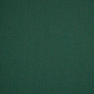 40421-0049 Pique Ivy by Sunbrella Fabric