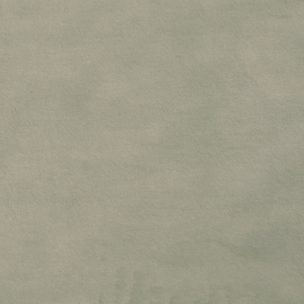 Plush 04 by Europatex Fabric Plush 100% Polyester 0.00" 55.00 inches - Fabric Carolina -