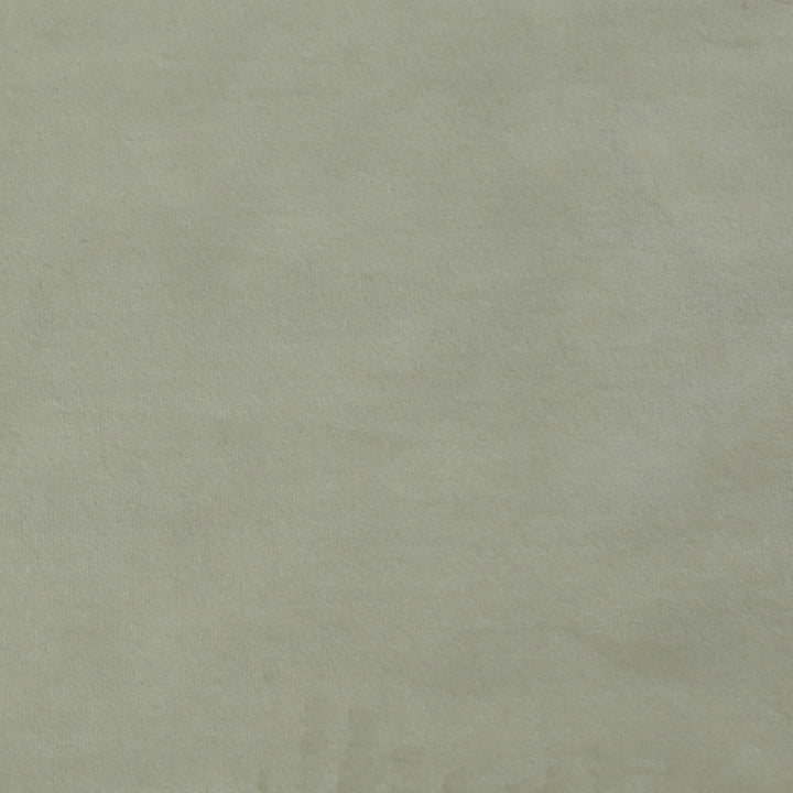 Plush 05 by Europatex Fabric Plush 100% Polyester 0.00" 55.00 inches - Fabric Carolina -