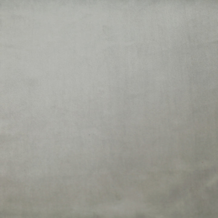 Plush 06 by Europatex Fabric Plush 100% Polyester 0.00" 55.00 inches - Fabric Carolina -