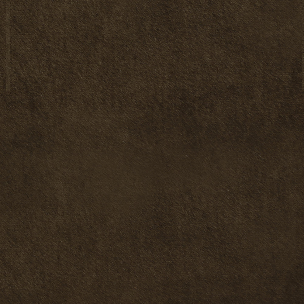 Plush 08 by Europatex Fabric Plush 100% Polyester 0.00" 55.00 inches - Fabric Carolina -