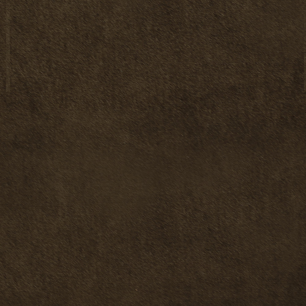 Plush 8 by Europatex Fabric Plush 100% Polyester China 35,000 Double Rubs Horizontal: N/A and Vertical: N/A 55" - Fabric Carolina -