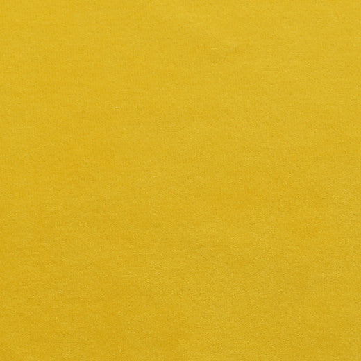 Plush - 09 by Europatex Fabric Plush 100% Polyester China See Sample Horizontal: N/A and Vertical: N/A 55.00 inches  - Fabric Carolina -