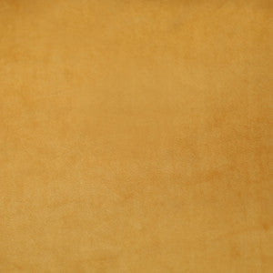 Plush 11 by Europatex Fabric
