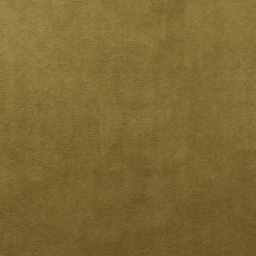 Plush 12 by Europatex Designer Fabric Plush 100% Polyester 0.00" 55.00 inches - Swanky Fabrics -