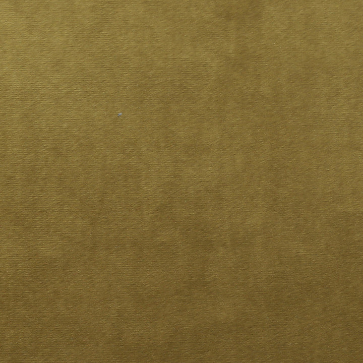 Plush 12 by Europatex Designer Fabric Plush 100% Polyester 0.00" 55.00 inches - Swanky Fabrics -