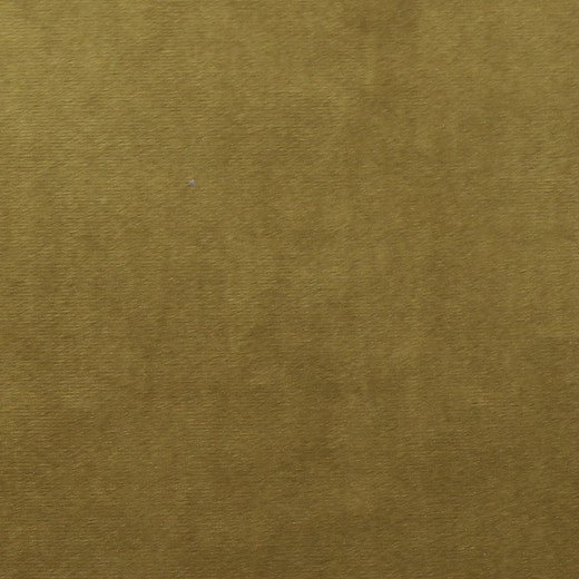 Plush - 12 by Europatex Fabric Plush 100% Polyester China See Sample Horizontal: N/A and Vertical: N/A 55.00 inches  - Fabric Carolina -