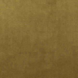 Plush 12 by Europatex Fabric