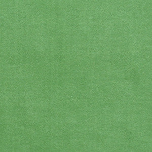 Plush 13 by Europatex Fabric