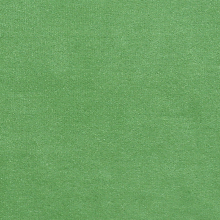 Plush 13 by Europatex Designer Fabric Plush 100% Polyester 0.00" 55.00 inches - Swanky Fabrics -