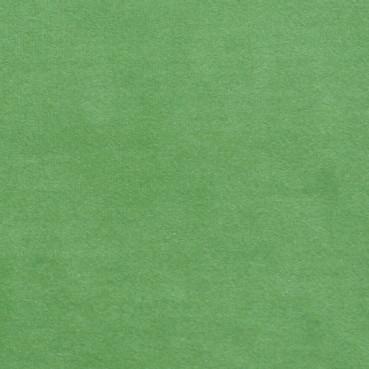 Plush - 13 by Europatex Fabric Plush 100% Polyester China See Sample Horizontal: N/A and Vertical: N/A 55.00 inches  - Fabric Carolina -