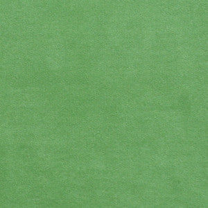 Plush 13 by Europatex Fabric