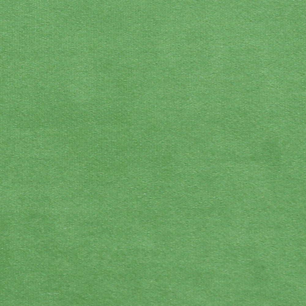 Plush 13 by Europatex Fabric Plush 100% Polyester 0.00" 55.00 inches - Fabric Carolina -