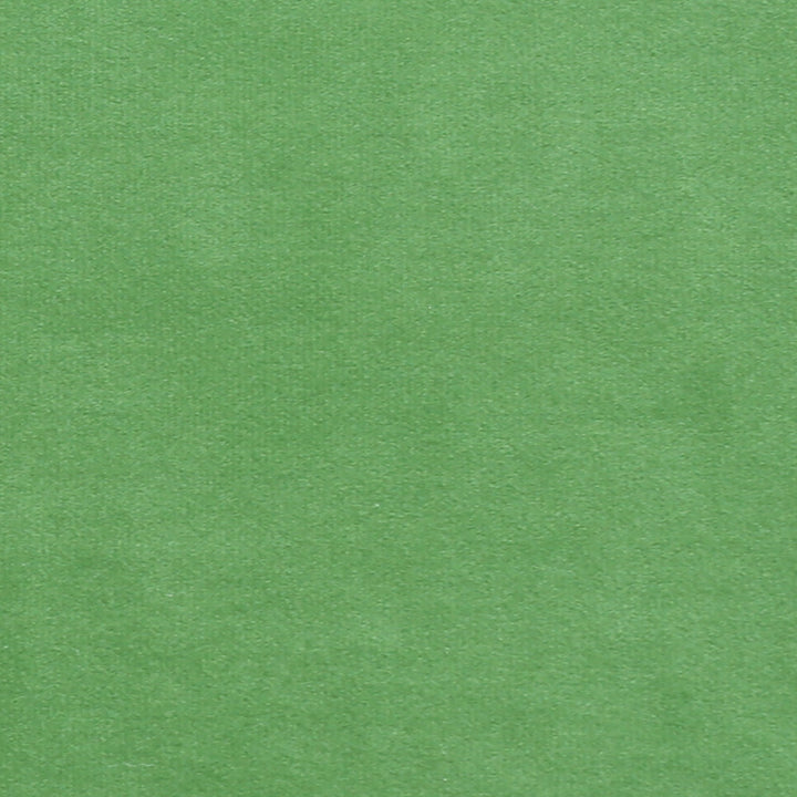 Plush 13 by Europatex Fabric Plush 100% Polyester 0.00" 55.00 inches - Fabric Carolina -