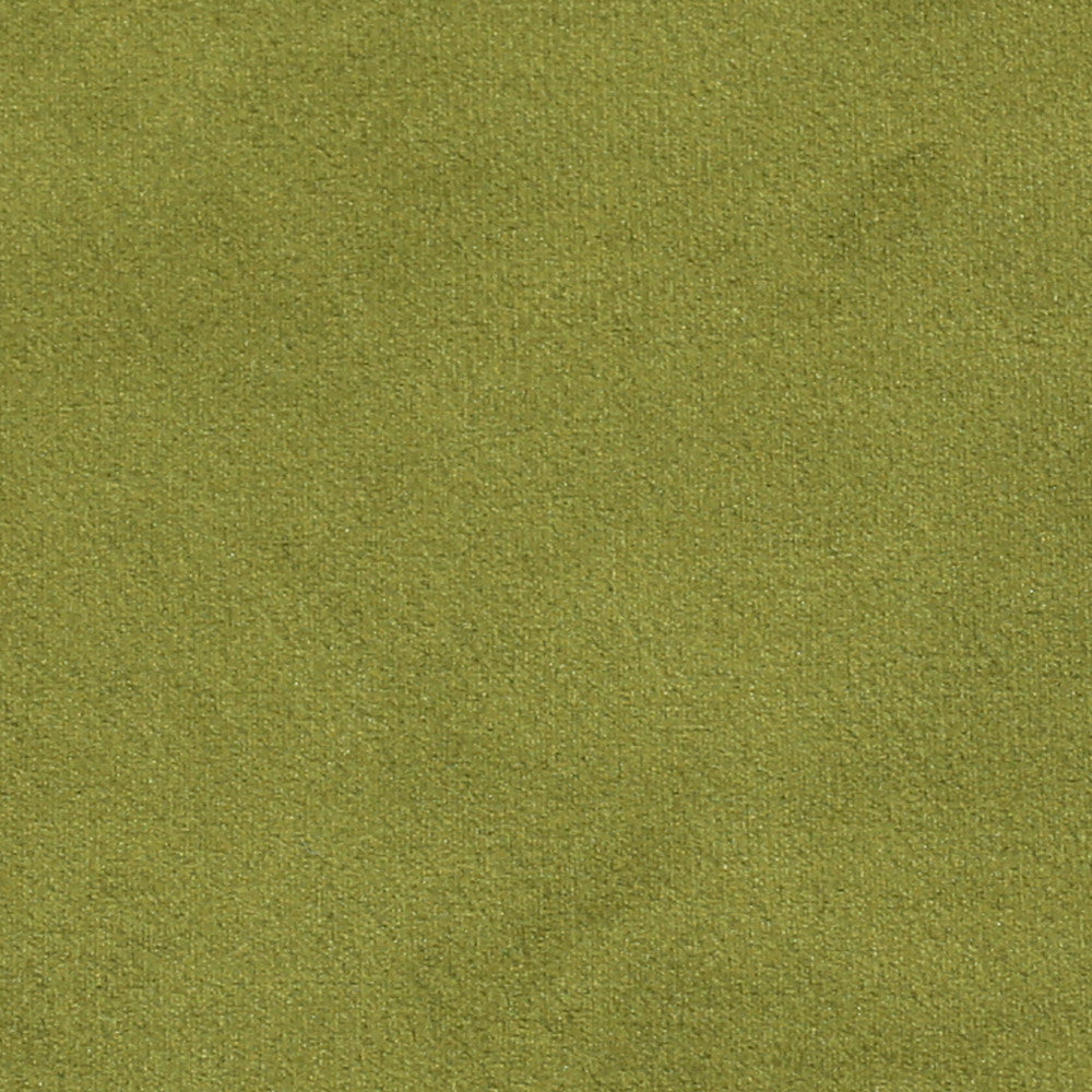 Plush 14 by Europatex Fabric Plush 100% Polyester 0.00" 55.00 inches - Fabric Carolina -