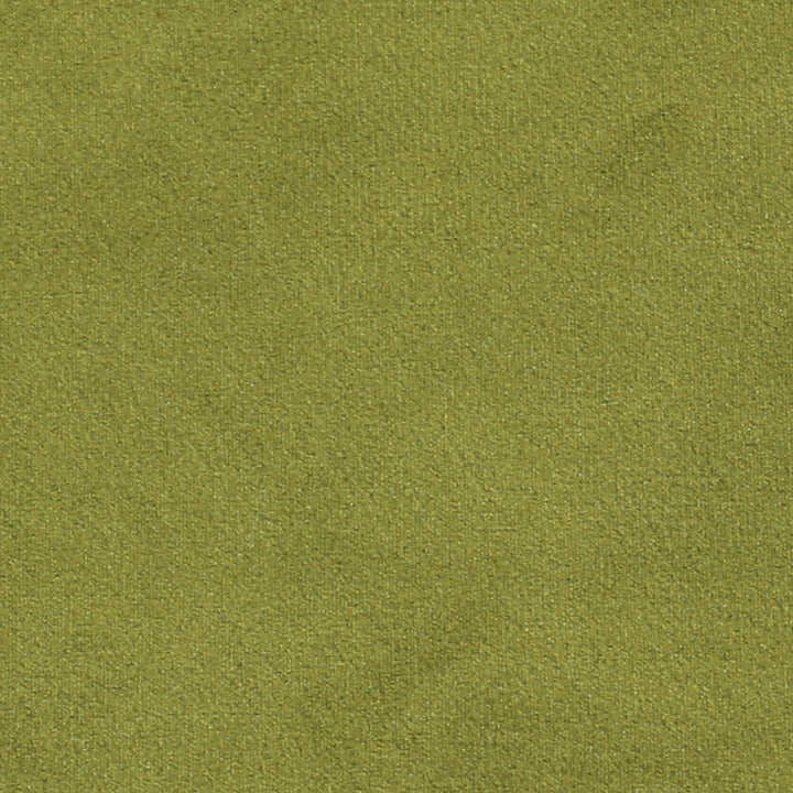 Plush 14 by Europatex Fabric Plush 100% Polyester 0.00" 55.00 inches - Fabric Carolina -