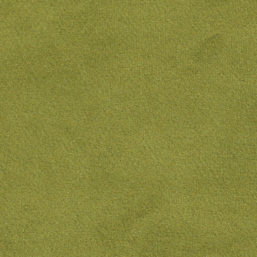 Plush - 14 by Europatex Fabric Plush 100% Polyester China See Sample Horizontal: N/A and Vertical: N/A 55.00 inches  - Fabric Carolina -
