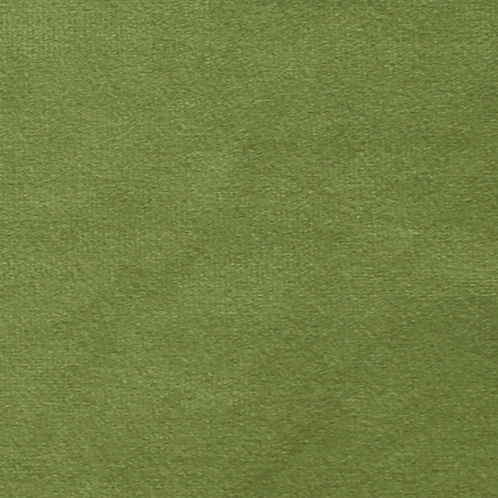 Plush 15 by Europatex Fabric Plush 100% Polyester 0.00" 55.00 inches - Fabric Carolina -