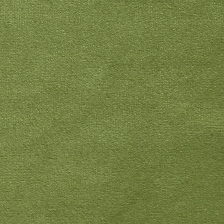 Plush 15 by Europatex Fabric Plush 100% Polyester 0.00" 55.00 inches - Fabric Carolina -