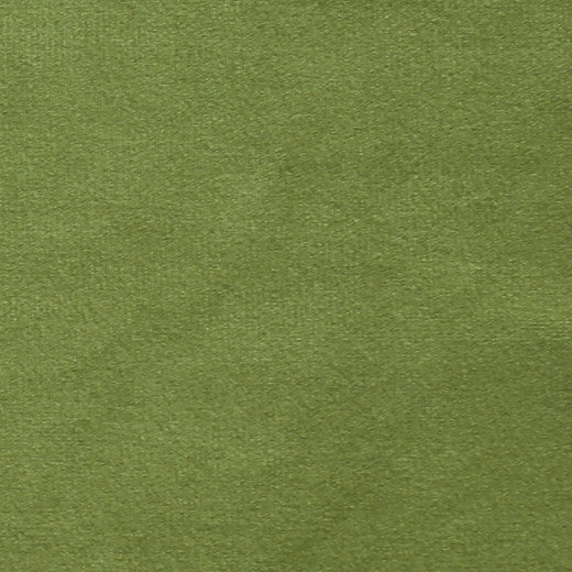 Plush - 15 by Europatex Fabric Plush 100% Polyester China See Sample Horizontal: N/A and Vertical: N/A 55.00 inches  - Fabric Carolina -