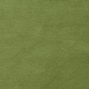Plush 15 by Europatex Fabric