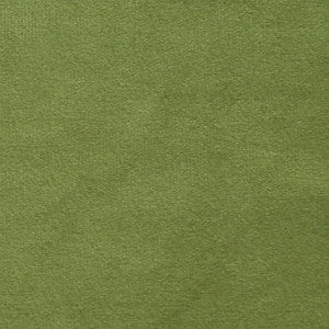 Plush 15 by Europatex Fabric
