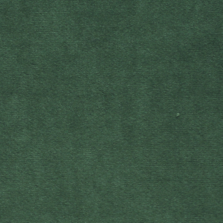 Plush 16 by Europatex Designer Fabric Plush 100% Polyester 0.00" 55.00 inches - Swanky Fabrics -