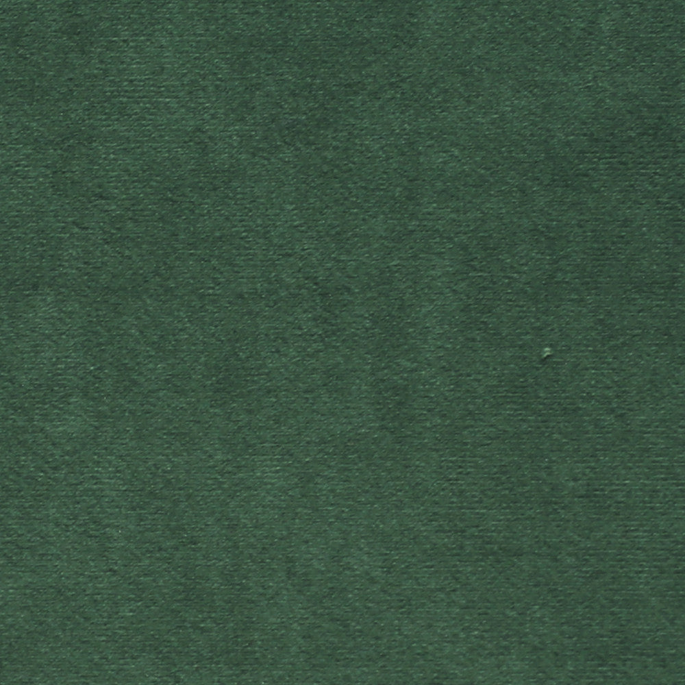 Plush 16 by Europatex Designer Fabric Plush 100% Polyester 0.00" 55.00 inches - Swanky Fabrics -