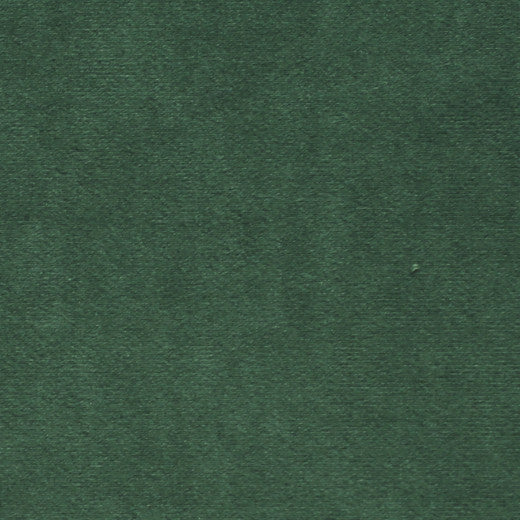 Plush - 16 by Europatex Designer Fabric Plush 100% Polyester China See Sample Horizontal: N/A and Vertical: N/A 55.00 inches  - Swanky Fabrics -