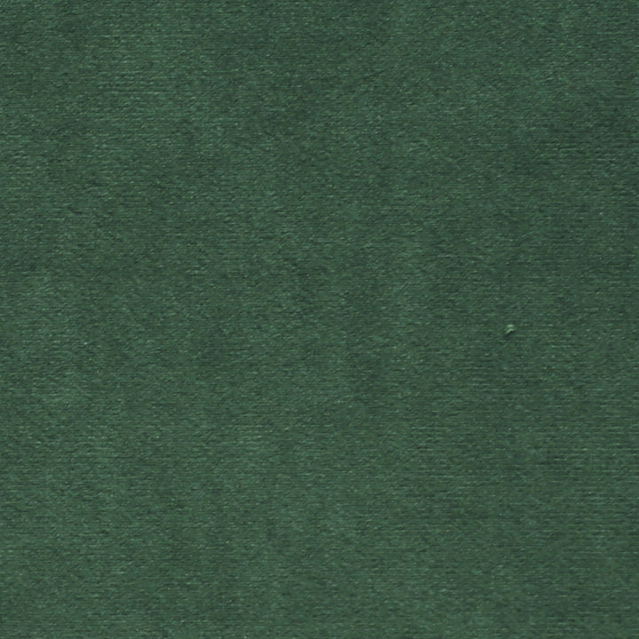 Plush 16 by Europatex Fabric Plush 100% Polyester 0.00" 55.00 inches - Fabric Carolina -