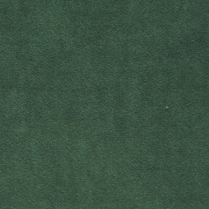 Plush 16 by Europatex Fabric