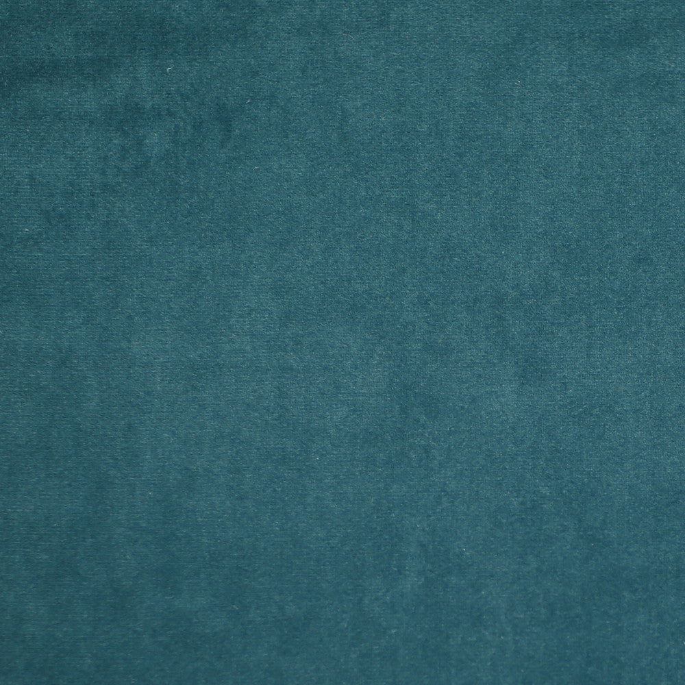 Plush 18 by Europatex Fabric Plush 100% Polyester 0.00" 55.00 inches - Fabric Carolina -