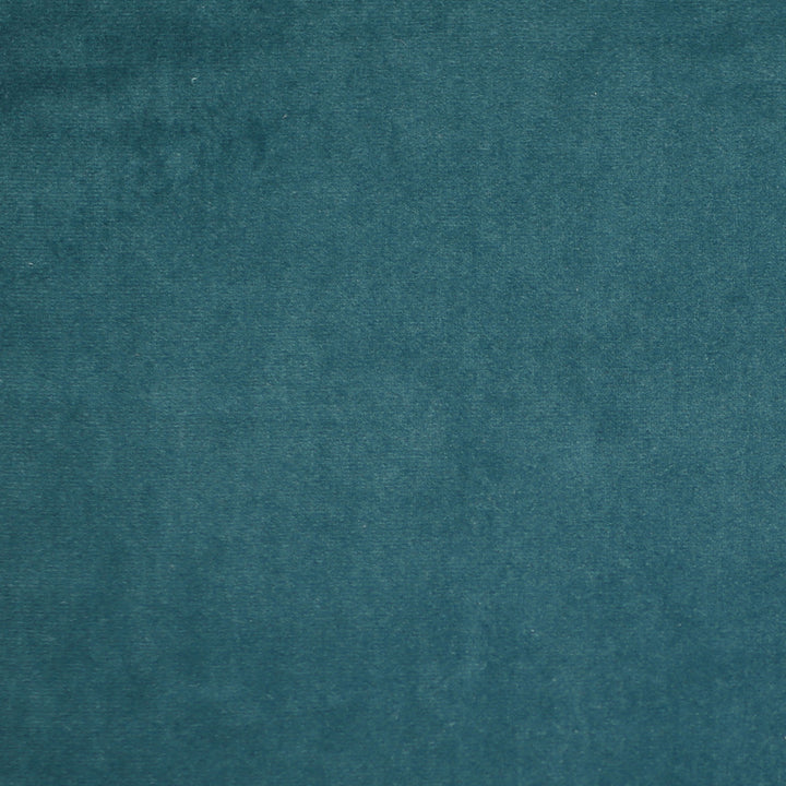 Plush 18 by Europatex Fabric Plush 100% Polyester 0.00" 55.00 inches - Fabric Carolina -