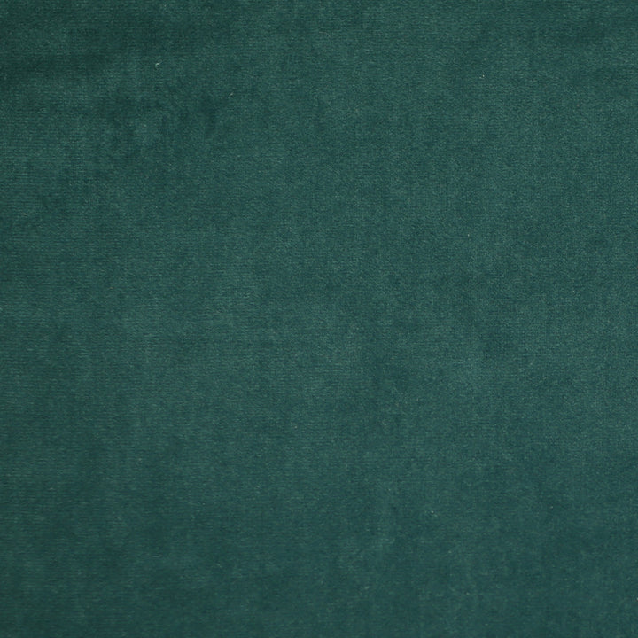 Plush 19 by Europatex Fabric Plush 100% Polyester 0.00" 55.00 inches - Fabric Carolina -
