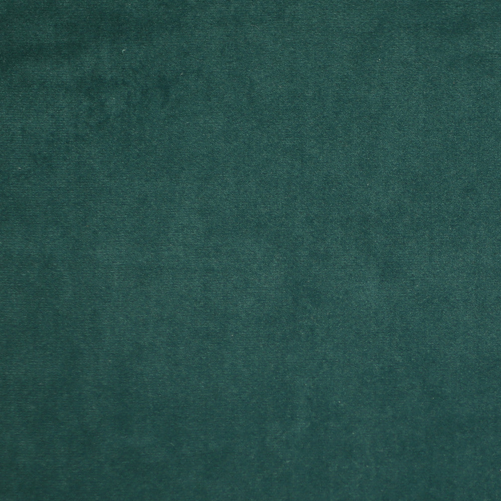 Plush 19 by Europatex Designer Fabric Plush 100% Polyester 0.00" 55.00 inches - Swanky Fabrics -