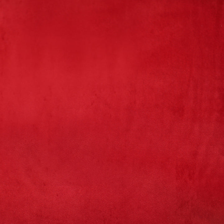 Plush 26 by Europatex Fabric Plush 100% Polyester 0.00" 55.00 inches - Fabric Carolina -