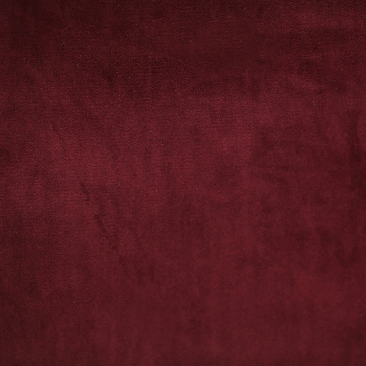 Plush 27 by Europatex Fabric Plush 100% Polyester 0.00" 55.00 inches - Fabric Carolina -