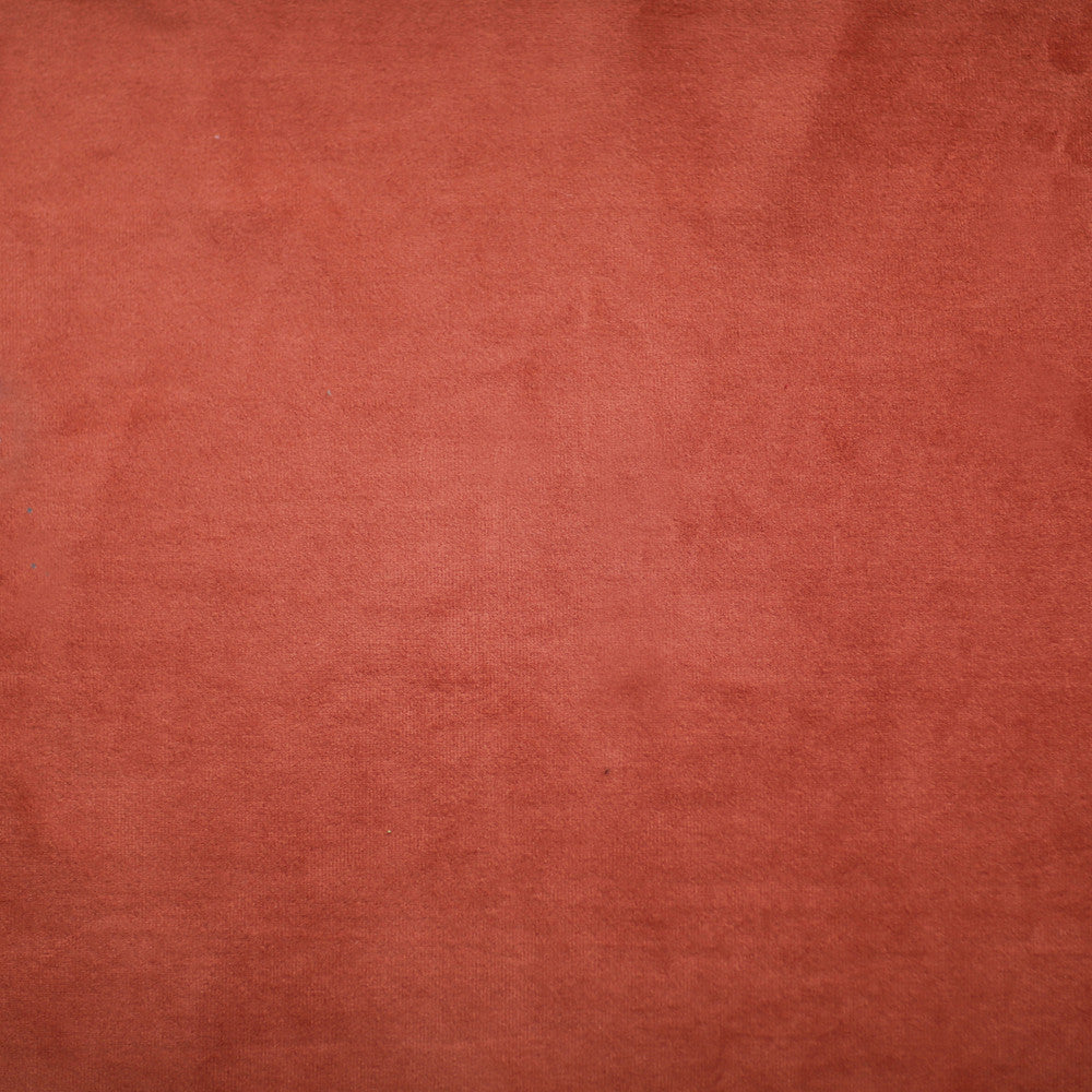 Plush 30 by Europatex Fabric Plush 100% Polyester 0.00" 55.00 inches - Fabric Carolina -