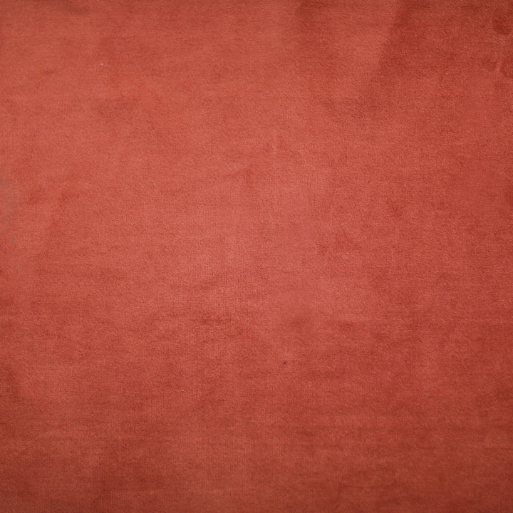 Plush 30 by Europatex Fabric Plush 100% Polyester 0.00" 55.00 inches - Fabric Carolina -