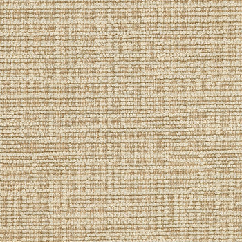 Plush Toast by Crypton Fabric See sample 100% Polyester 100000 Horizontal: Not Applicable and Vertical: Not Applicable 54" - Fabric Carolina -