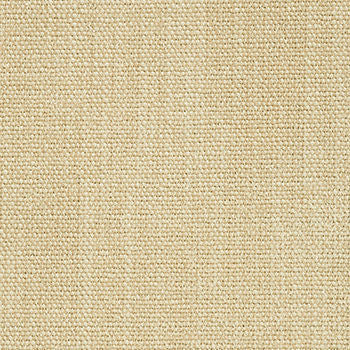 Portrait Husk by Crypton Fabric See sample 100% Polyester 50000 Horizontal: Not Applicable and Vertical: Not Applicable 54" - Fabric Carolina -