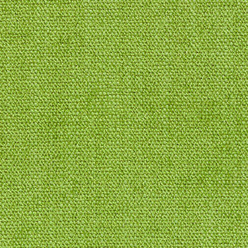 Portrait Lime by Crypton Fabric See sample 100% Polyester 50000 Horizontal: Not Applicable and Vertical: Not Applicable 54" - Fabric Carolina -