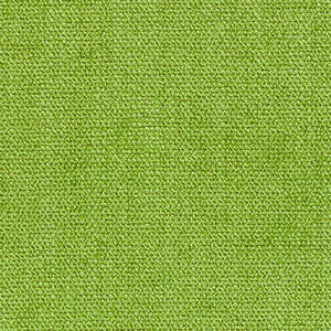 Portrait Lime by Crypton Fabric