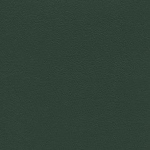 Prizm Hunter Green by Enduratex Fabric