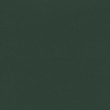 Prizm Hunter Green PRZ-013 by CGPC Fabric See sample 100% Vinyl USA or Imported Water-based cleaning agents and foam may be used for cleaning. Cleaning by a professional cleaning service is recommended. 54 - Fabric Carolina -