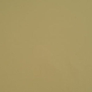 Prodigy Cream by Morbern Fabric