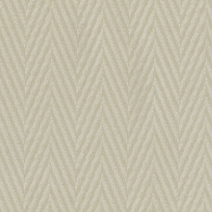 Sombre Prosaic Parchment by Europatex Fabric Sombre 100% Polyester 0.00 55.00 inches - Fabric Carolina -