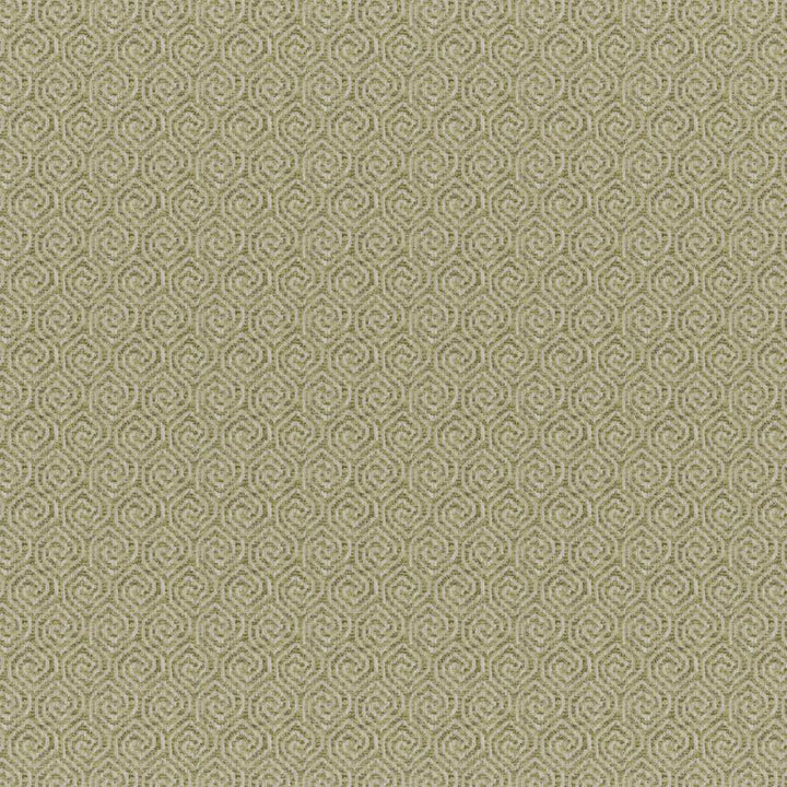 Quintero # 838 Pesto by Maxwell Fabric Colorguard-Amazonia 83% POLYESTER/17% COTTON INDIA V-2" H-1.3" 55.5" - Fabric Carolina -